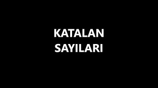 Catalan Numbers Katalan Sayıları [upl. by Roselane]