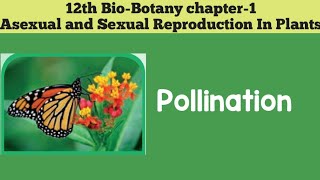 12th biobotany chapter1 Asexual And Sexual Reproduction In Plants POLLINATION 12th SCERT [upl. by Gussy925]