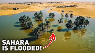 Sahara Desert Was Dry for 50 Years Now Its Flooded How Come [upl. by Frances623]