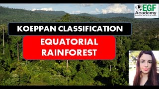 Equatorial Rainforest Climate l Koeppens Climate Classification l Equatorial Rainforest Biome [upl. by Saturday]