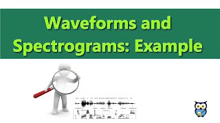 Waveforms and Spectrograms Example [upl. by Marb247]