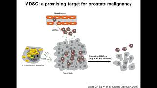 Understanding Immunosuppressive Myeloid Cells and Immunotherapy using Proteome Profiler™ Arra [upl. by Dragoon]