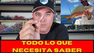 RABIRUBIA O COLIRUBIA TUTORIAL TODO LO QUE NECESITA SABER SOBRE LA PESCA DEL YELLOWTAIL SNAPPER [upl. by Arvid]