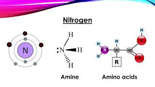 Biochemistry  Introduction  part 1 [upl. by Maudie]