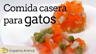 Comida casera para gatos  Comida húmeda para gatos con pollo [upl. by Annaili]