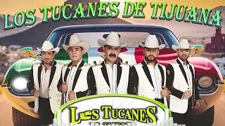 Corridos A Quema Ropa 🌹🌹 Los Tucanes De Tijuana 40 Exitos 🔶 Puros Corridos Pesados Mix 2024 🎀🎀 [upl. by Dita]