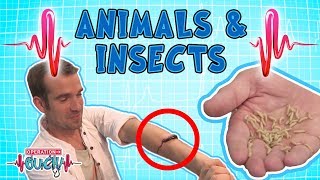 Operation Ouch  Animals amp Insects  Science for Kids [upl. by Suirada]