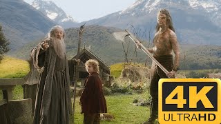 Beorn  The Hobbit  The Desolation of Smaug 4K HDR [upl. by Lester]