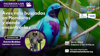 Webinario Aves más Buscadas en Honduras y Donde Encontrarlas [upl. by Vidda455]