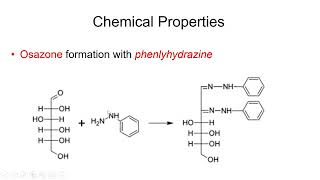 Carbohydrates Physical and Chemical Properties  Lecture 6b [upl. by Danuloff]