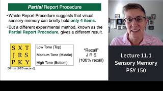 150 Lecture 111 Sensory Memory and Playing with Sparklers [upl. by Pippas]