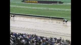 Belmont Park  Super Saturday 1993 [upl. by Joshi]