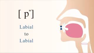 p⁼  unvoiced unaspirated bilabial stop [upl. by Gathard]