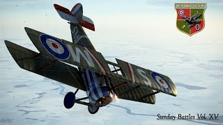 IL2 Flying Circus Sunday Battles Vol XV [upl. by Razatlab]