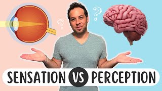 Sensation vs Perception Whats the Difference [upl. by Odlaumor]