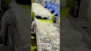 Aloe vera gel making process [upl. by Jammal]