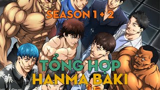 TỔNG HỢP quotĐấu sĩ Bakiquot  Season 1  2  AL Anime [upl. by Girovard159]