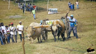 GRAND PRIX VOLCAN  MAUDETTE  SAINTE ANNE  11 NOVEMBRE 2023  Catégorie C [upl. by Dewitt]