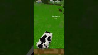 Mastercraft vs Minicraft minecraft mastercrafts minicraft liveminecraftcomosinscritos jogos [upl. by Resneps390]