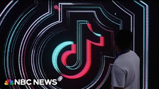 TikTok trend shows voters joking about ‘canceling out’ another person’s vote [upl. by Hubey]