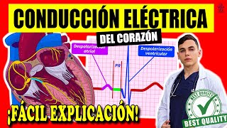 SISTEMA DE CONDUCCIÓN DEL CORAZÓN ‼️ [upl. by Varipapa]