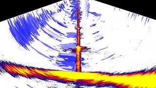 Lowrance Livesight showing walleye school and reaction to a dropshot bait [upl. by Hairahcez]