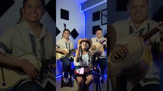 Alma Enamorada cover  MilyBros [upl. by Elimac]