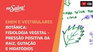 Me Salva BOT26  Botânica  Fisiologia vegetal pressão positiva da raiz gutação e hidatódios [upl. by Zela]