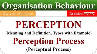 Meaning of Perception perception process perceptual process ob organisational behaviour [upl. by Daj]