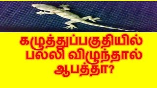 கழுத்துப்பகுதியில் பல்லி விழுந்தால் ஆபத்தா [upl. by Marcy]