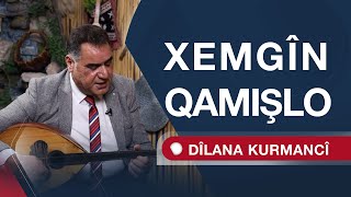 Xemgîn Qamişlo  Dîlana Kurmancî [upl. by Alleen321]