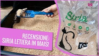 Lettiera vegetale agglomerante Siria la mia recensione [upl. by Jess]