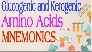 Glucogenic and Ketogenic Amino Acids MNEMONICS  Lecture 3 [upl. by Suneya]