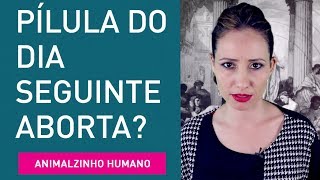 Pílula do dia seguinte é abortiva Contracepção  Animalzinho Humano [upl. by Audley]