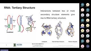 MLB 203 Evening 2024 Nucleic Acids II [upl. by Eelrehpotsirhc]