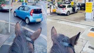 Guy On Horse Chants To People Queueing For Petrol [upl. by Yendirb]