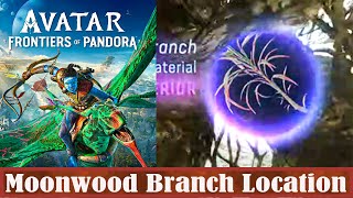 Avatar Frontiers of Pandora Moonwood Branch Location [upl. by Solitta108]