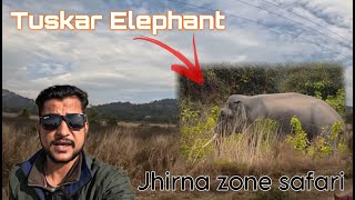 Tuskar elephant spotted  jhirna zone safari corbettnationalpark yuvraj viral tiger elephant [upl. by Baynebridge304]