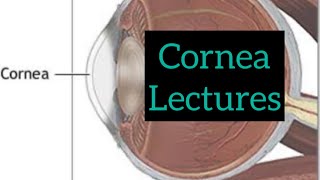 Cornea lectures part 3 Eye  opthalmology lectures eyelectures opthalmology eye cornea [upl. by Collum]