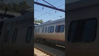 Acela  2015 at LevittownPA amtrak train [upl. by Leanatan620]