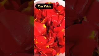 Rose Halwa  Rose Recipe  Sweet  food sweet yummy  halwa rose easy cooking Healthy recipe [upl. by Ettenotna628]