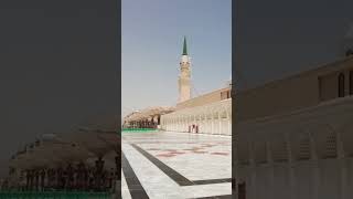 darood sharif in beautiful voice mostbeautifulnaat beautifullslamic [upl. by Lanod728]