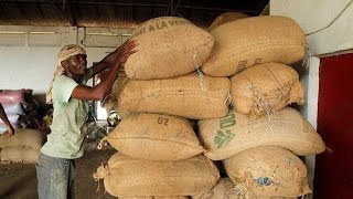 Cacao  la Côte dIvoire maintient inchangé le prix dachat garanti aux producteurs pour 201718 [upl. by Rola169]