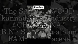 Chandana  BN Santalum album  Fam Santalaceae [upl. by Adrell]