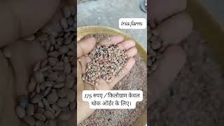 How To Make Gahat Ki Daal l kulthi ki daal ke fayde l Gahat Ki Daal l gahat kulthi shorts [upl. by Burney]