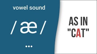 Vowel Sound  æ  as in quotcatquot  American English Pronunciation [upl. by Esinaj]