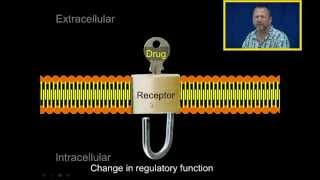 Introduction to Pharmacology [upl. by Bouley]