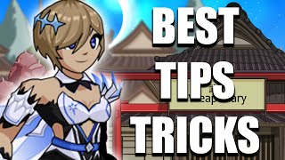 The 5 BEST FAST TIPS for BEGINNERS in REDHERO AQW Private Server [upl. by Elorak708]