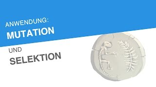 ANWENDUNG MUTATION UND SELEKTION  Biologie  Evolutionsbiologie [upl. by Alhsa]