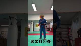 Scopriamo il ĐAO del Vovinam part 1 of 3 [upl. by Notserp]